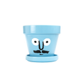 PotPot Blue