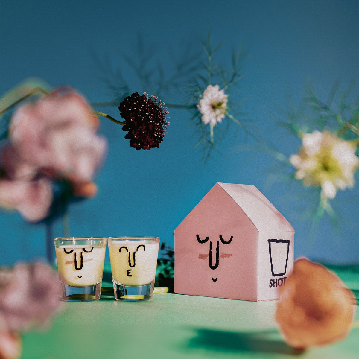 Shot Glass Set