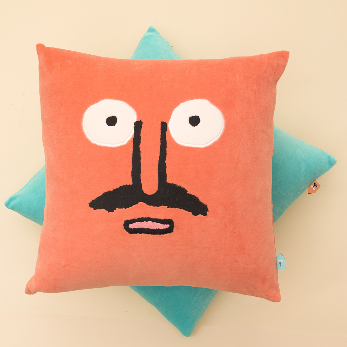 Switch Cushion Coral