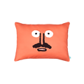 Switch Pillow Cover