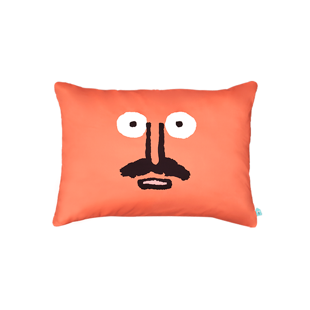 Switch Pillow Cover