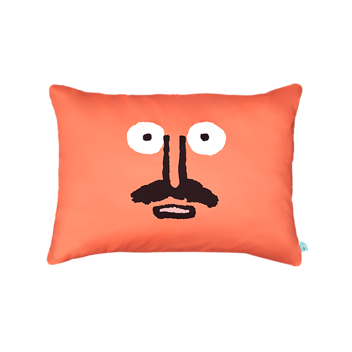 Switch Pillow Cover
